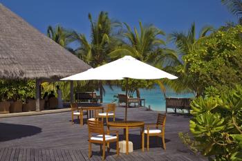 Conch Bar Coco Palm Dhuni Kolhu Baa Atoll Malediven