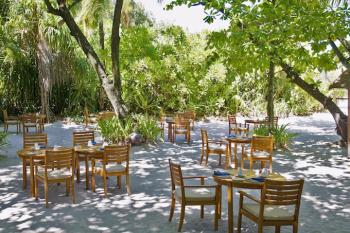  Cowrie Coco Palm Dhuni Kolhu Baa Atoll Malediven