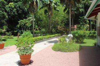 Garten Bamboo Chalets La Digue Seychellen