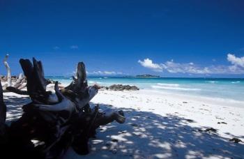Strand Anse Kerlan  Islanders Guesthouse Praslin Seychellen 