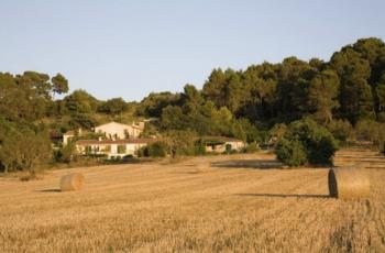 Sa Rota D'en Palerm Finca Sineu Mallorca