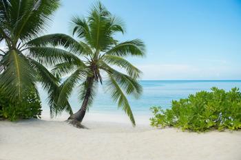 Avani Barbarons Strand